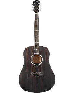 Washburn Deep Forest Ebony D Dreadnought western gitaar