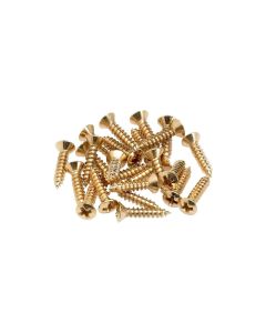 Fender slagplaat schroeven 24 stuks goud
