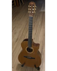 Taylor NS54-CE