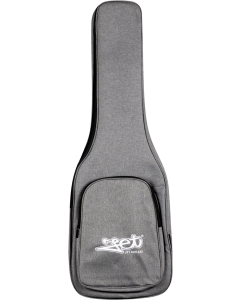 Jet Guitars JG-30 GY