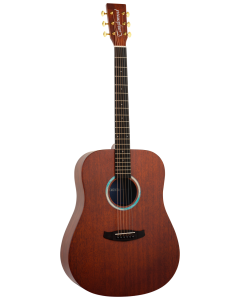 Tanglewood Elemental 5 BL