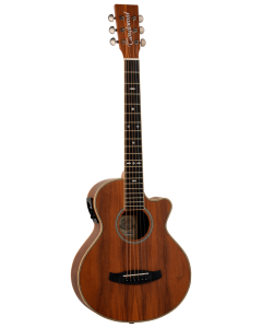 Tanglewood Reunion Pro 2 CE AW Walnut
