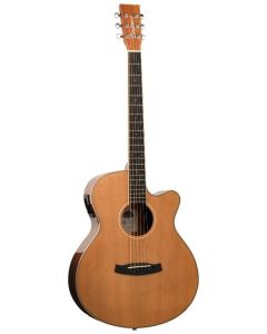 Tanglewood WINTERLEAF TW4 CE NA