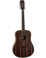 Tanglewood Reunion Pro 5-12 AE Ebony