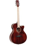 Tanglewood Winterleaf Blonde 4 CE BL B
