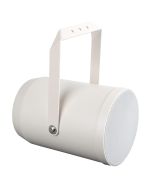 DAP PSU-620P 20 Watt 6" Speaker Unidirectional Projector