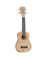 Tanglewood Tiare T5