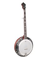 Richwood RMB-905-A Bluegrass banjo 5-string raised head