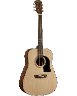 Washburn Apprentice D5 western gitaar natural