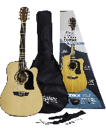 Washburn Apprentice D5CE elektro-akoestische western gitaar starterset natural