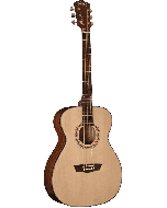 Washburn Apprentice F5 folk gitaar natural