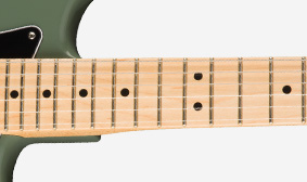 Fender American Professional Stratocaster Deep C